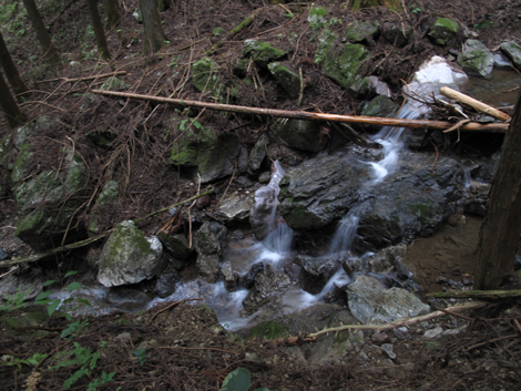 20151021hike (379)